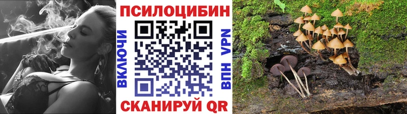 закладка  Светлый  Псилоцибиновые грибы Psilocybe 